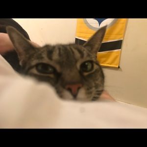 Meet your Posher, Antonio